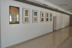 rok-2011