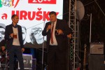 Švejkové dni