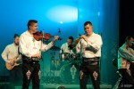 Kollárovci koncert